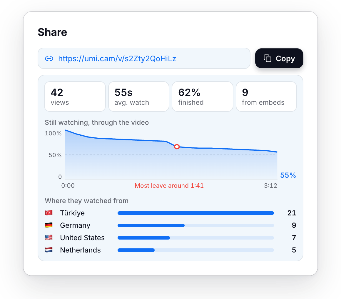 The Share window: link and viewer insights